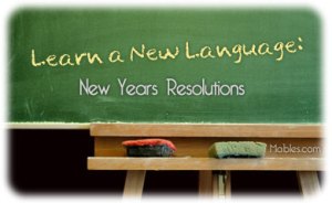 nyr-learn-language